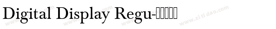 Digital Display Regu字体转换